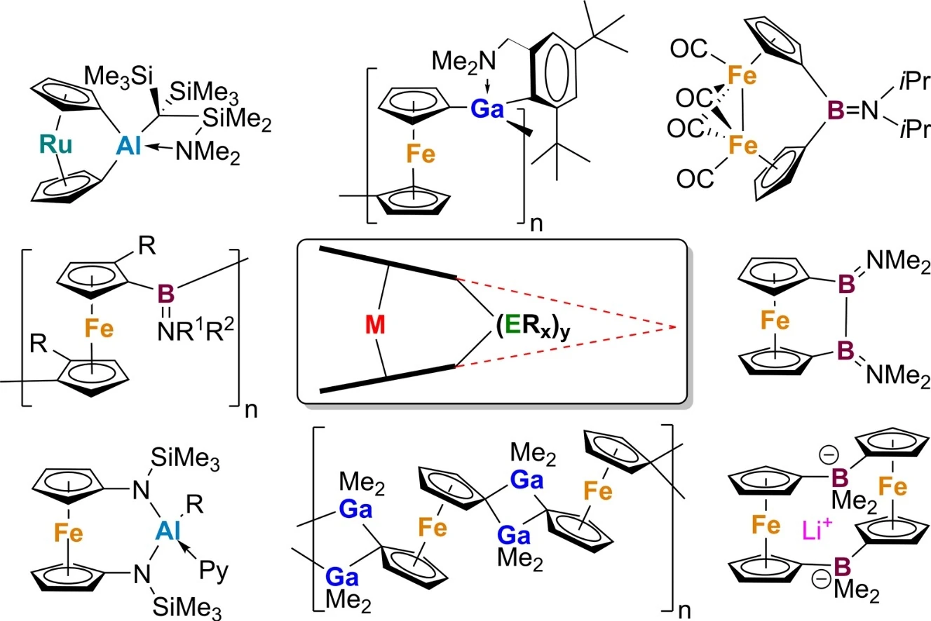 Graphical abstract: Metallocenophanes Bridged by Group 13 Elements