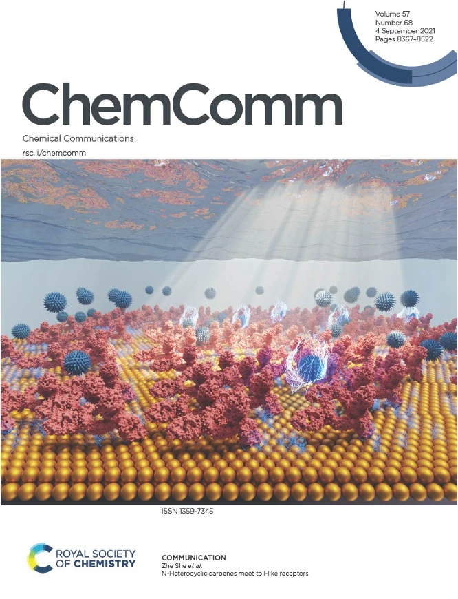 Journal cover art: N-Heterocyclic Carbenes Meet Toll-Like Receptors