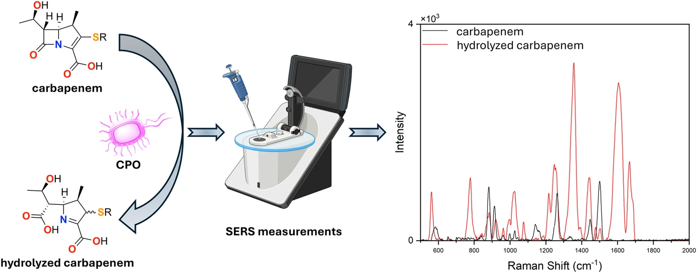 Graphical abstract: Detection of Carbapenemase-Mediated Antimicrobial Resistance Using Surface-Enhanced Raman Scattering